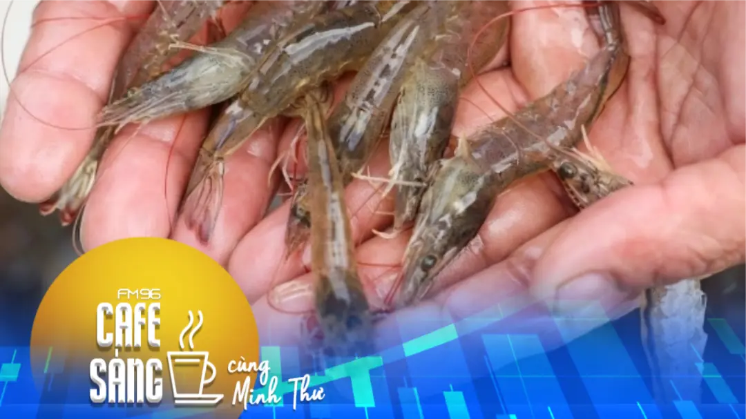 Người Trung Quốc được ăn tôm rẻ hơn nhờ ông Trump?